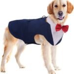 Types of Formal Wear for Dogs