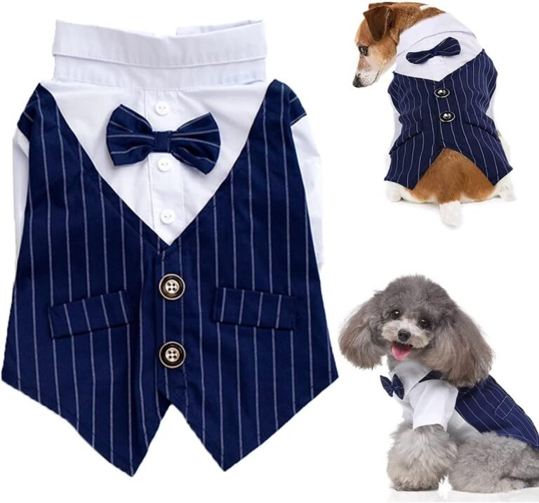 Bow Wow Ballroom: Dressing Up Your Dog in Formal Fashion