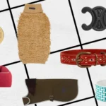 Must-Have Accessories for Your Furry Friend Must-Have Accessories