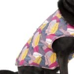 A dog wearing one of the Best Dog Jackets in 2024