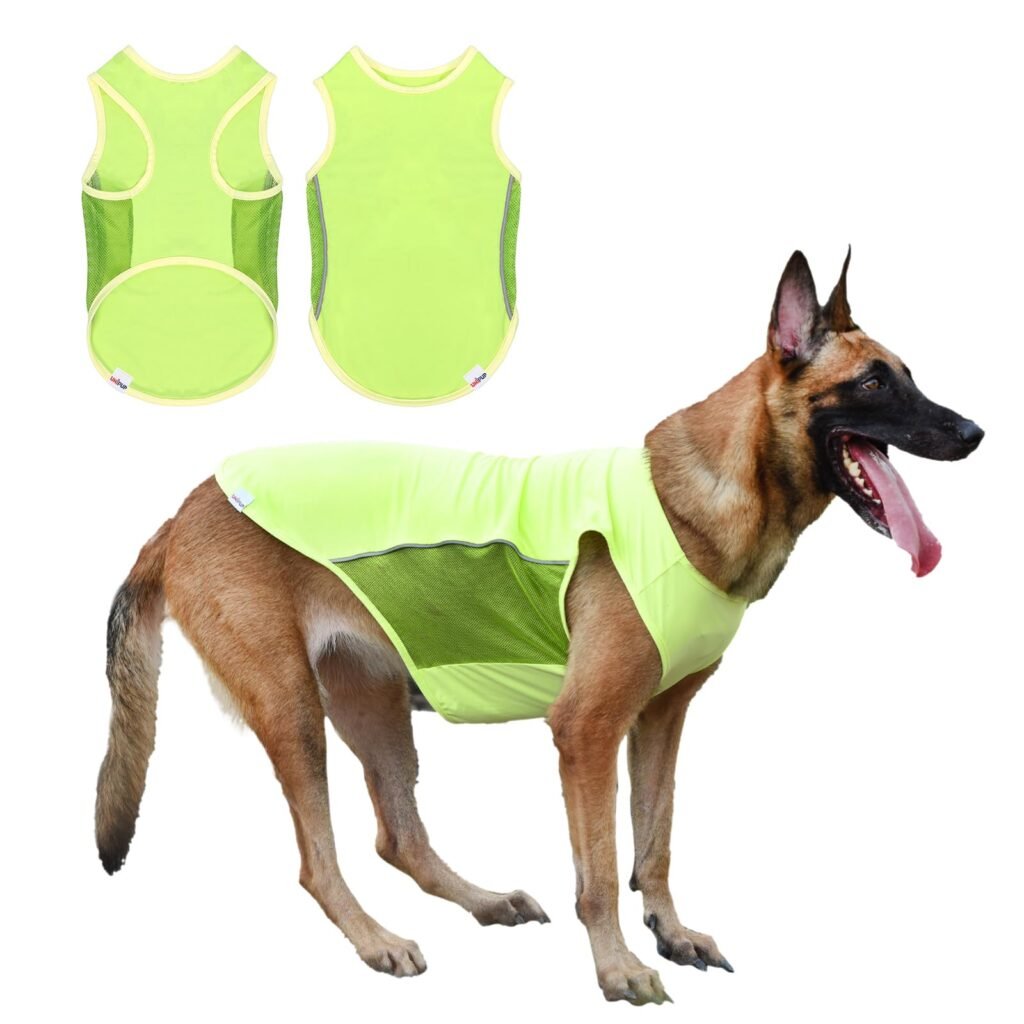 Best Eco-Friendly Dog Clothes Options