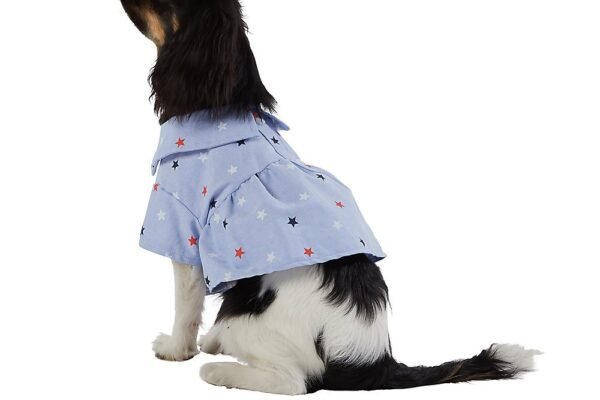 Best Lightweight Dog Clothing for Travel