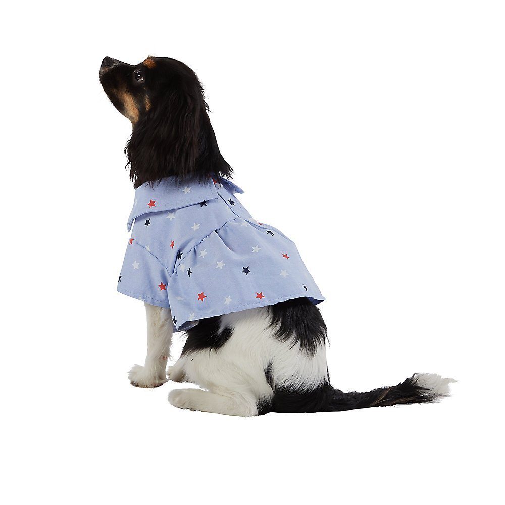 Best Lightweight Dog Clothing for Travel