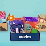 Best Subscription Boxes for Dogs