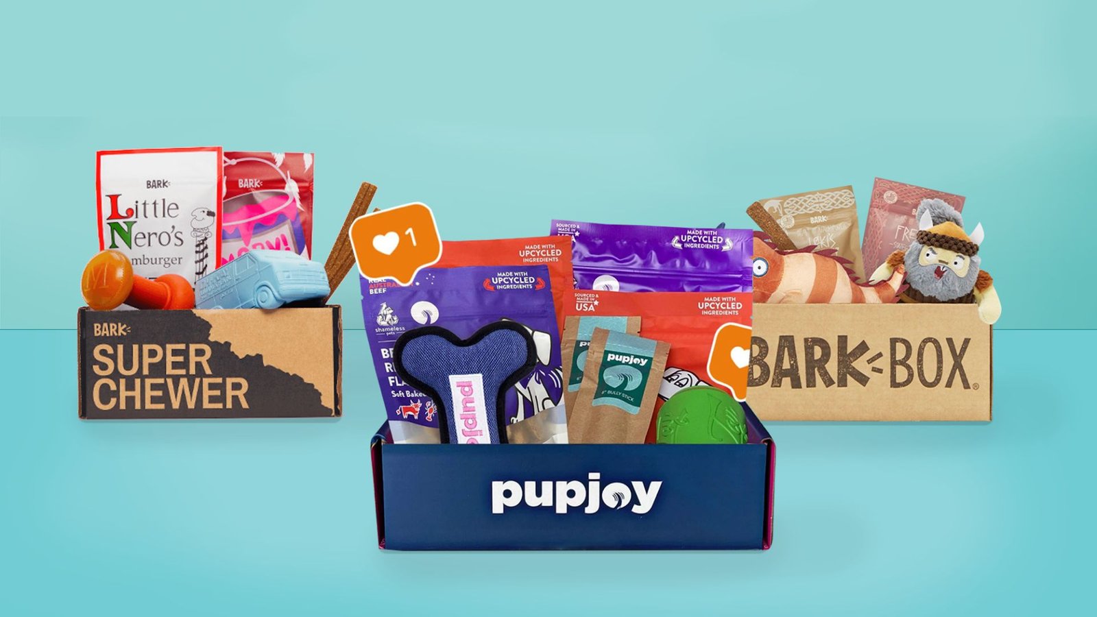 Best Subscription Boxes for Dogs