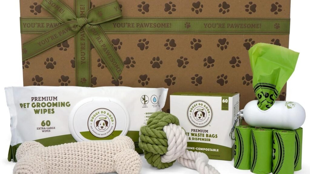 Eco-Friendly Dog Gift Ideas