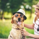 Essential Dog Clothing for Outdoor Adventures