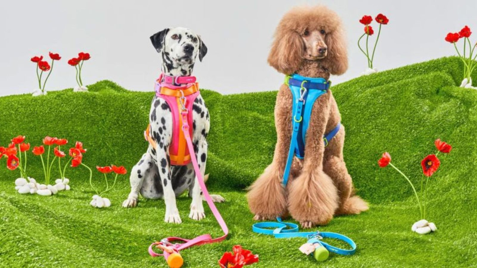 Fun Gifts for Dogs That They’ll Actually Love