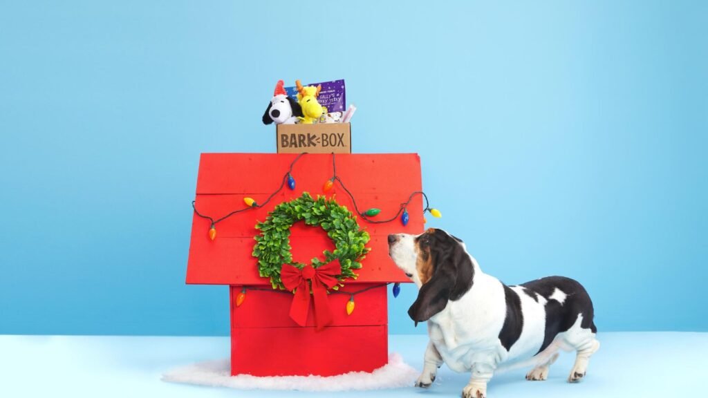 Fun Gifts for Dogs That They’ll Actually Love