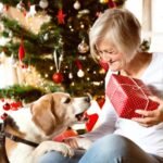 Gift Ideas for Senior Dogs: Comfort and Care