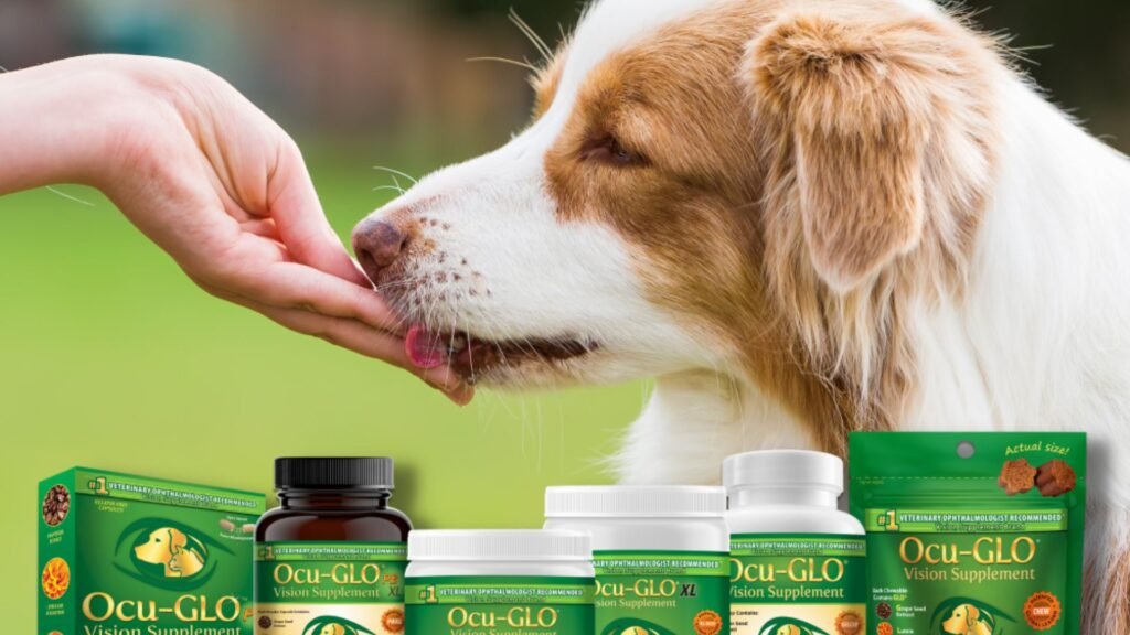 Health and Wellness Gifts for Dogs: Supplements and More