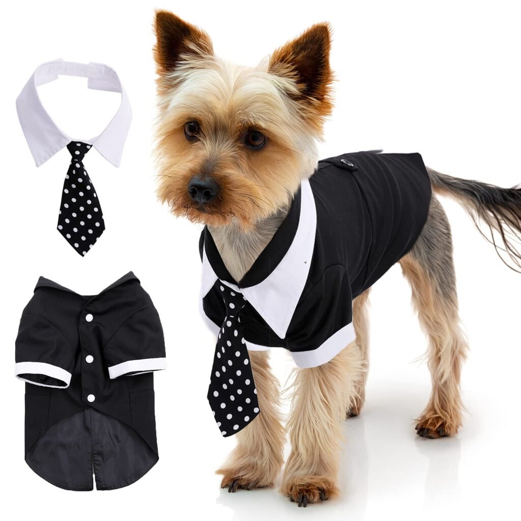 How to Accessorize Dog Formal Wear