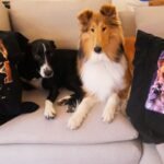 How to Choose Personalized Dog Gifts