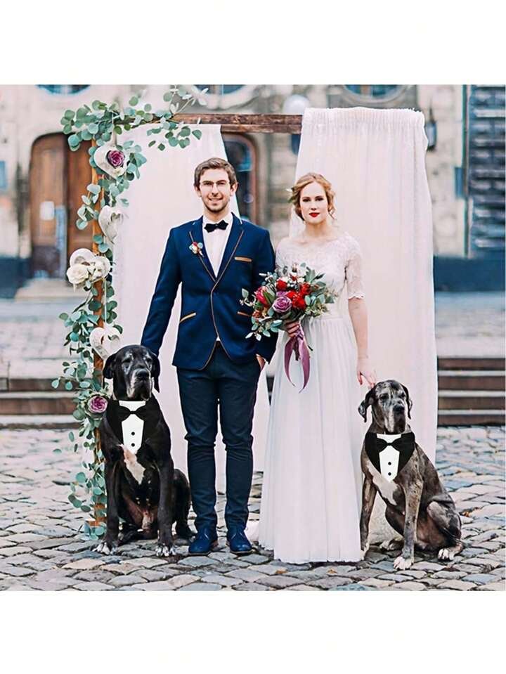 How to Choose the Best Dog Formal Wear