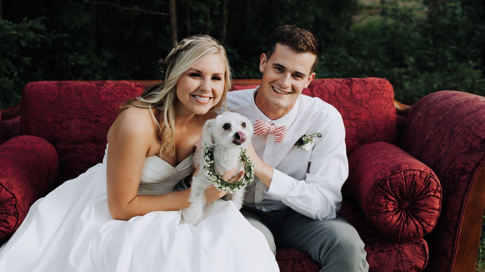 How to Dress Your Dog for a Wedding