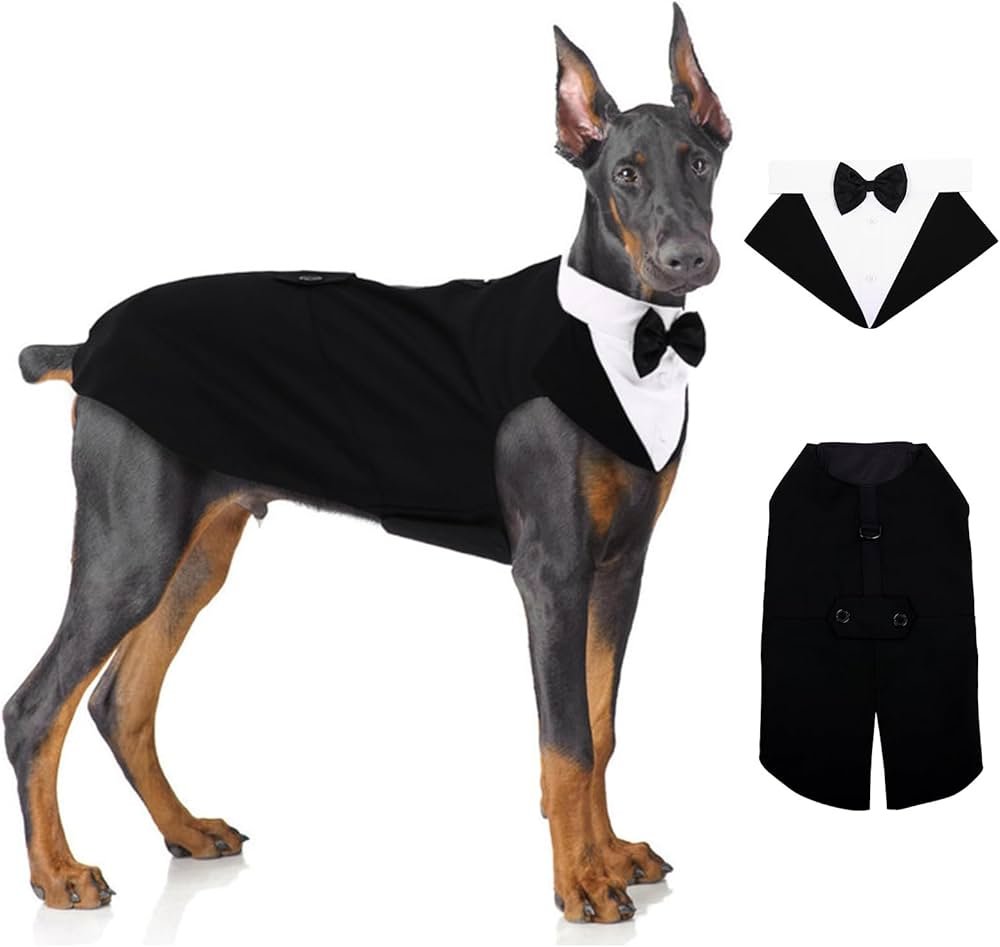 How to Find Affordable Dog Formal Wear