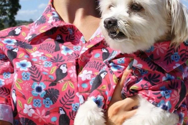 How to Match Your Dog's Outfit with Yours