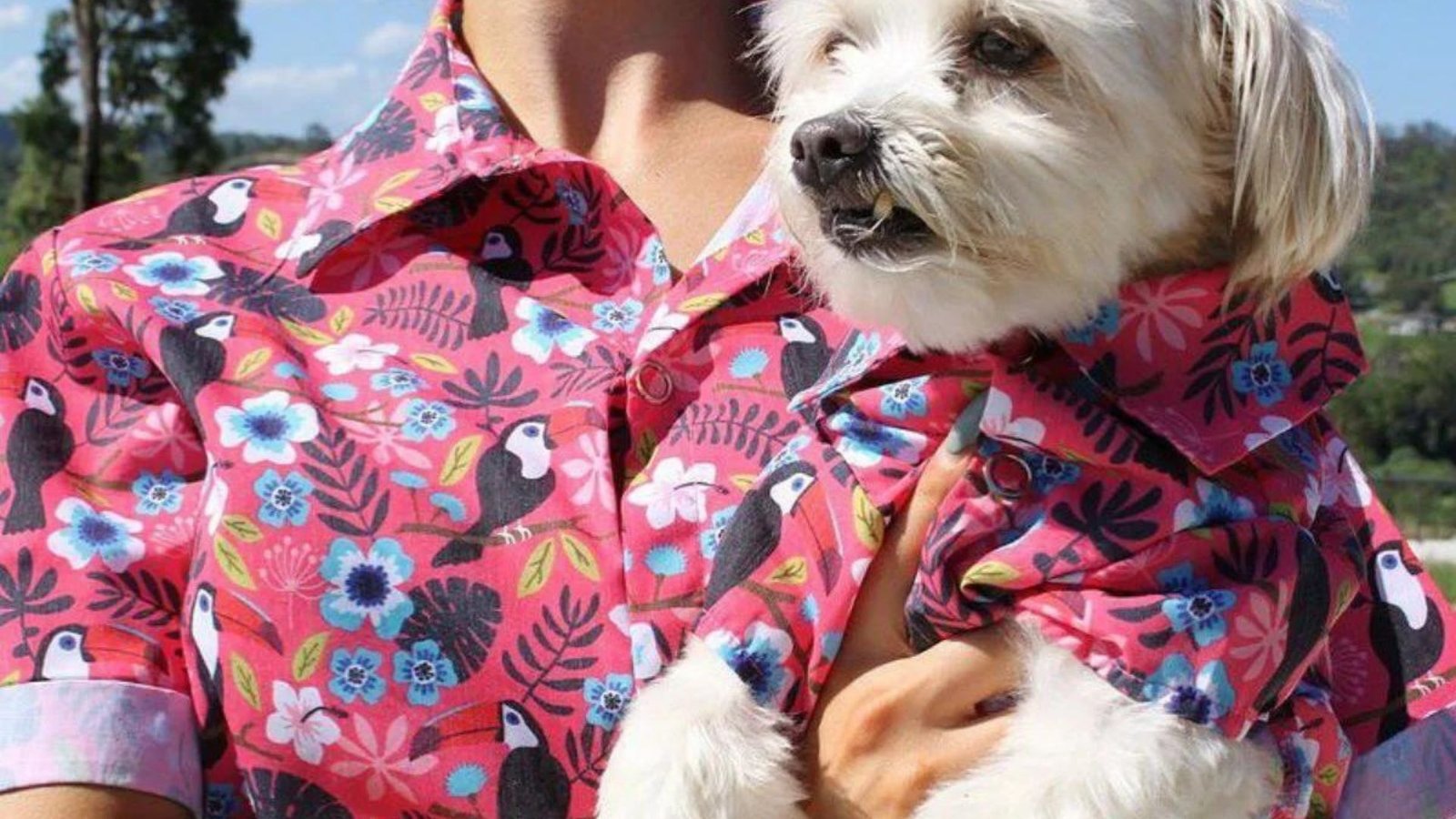 How to Match Your Dog's Outfit with Yours