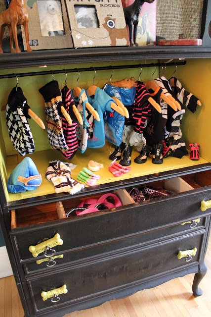 How to Organize a Dog Clothing Wardrobe