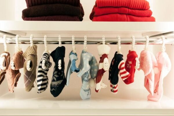 How to Organize a Dog Clothing Wardrobe