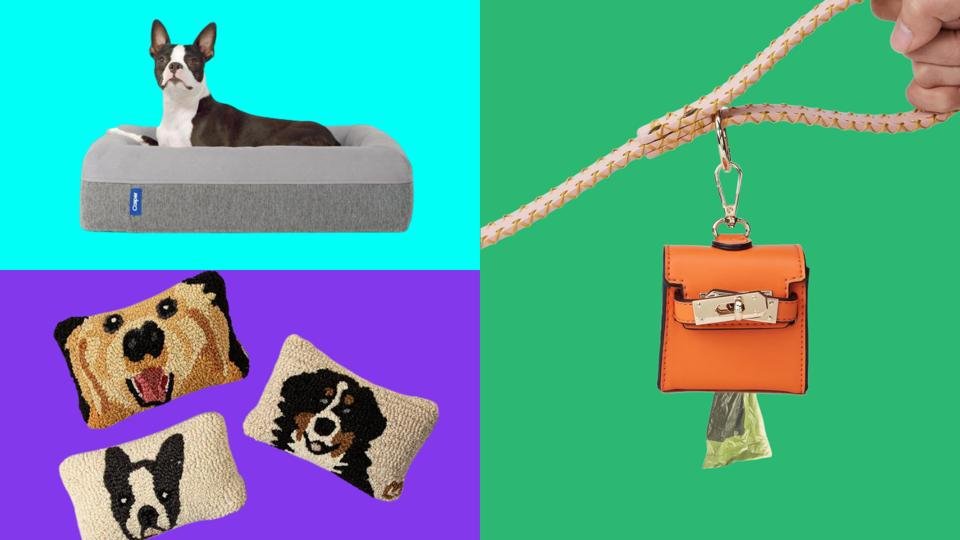 How to Select the Best Luxury Dog Gifts