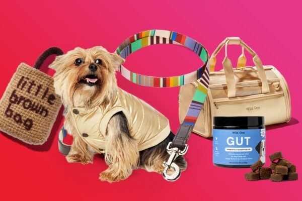 How to Select the Best Luxury Dog Gifts