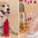 How to Style Dog Clothing for Special Occasions