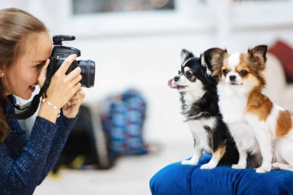 How to Style Your Dog for a Photoshoot