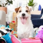 Interactive Toys: Engaging Gifts for Active Dogs