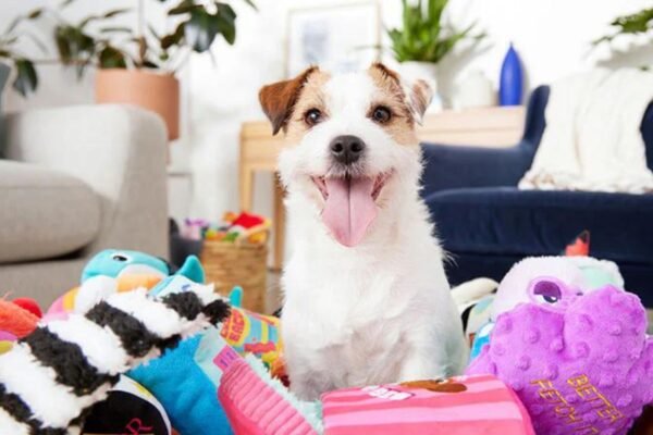 Interactive Toys: Engaging Gifts for Active Dogs