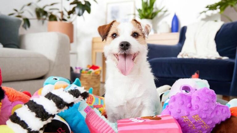 Interactive Toys: Engaging Gifts for Active Dogs