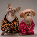 Luxury Dog Gifts: Spoiling Your Pup in Style