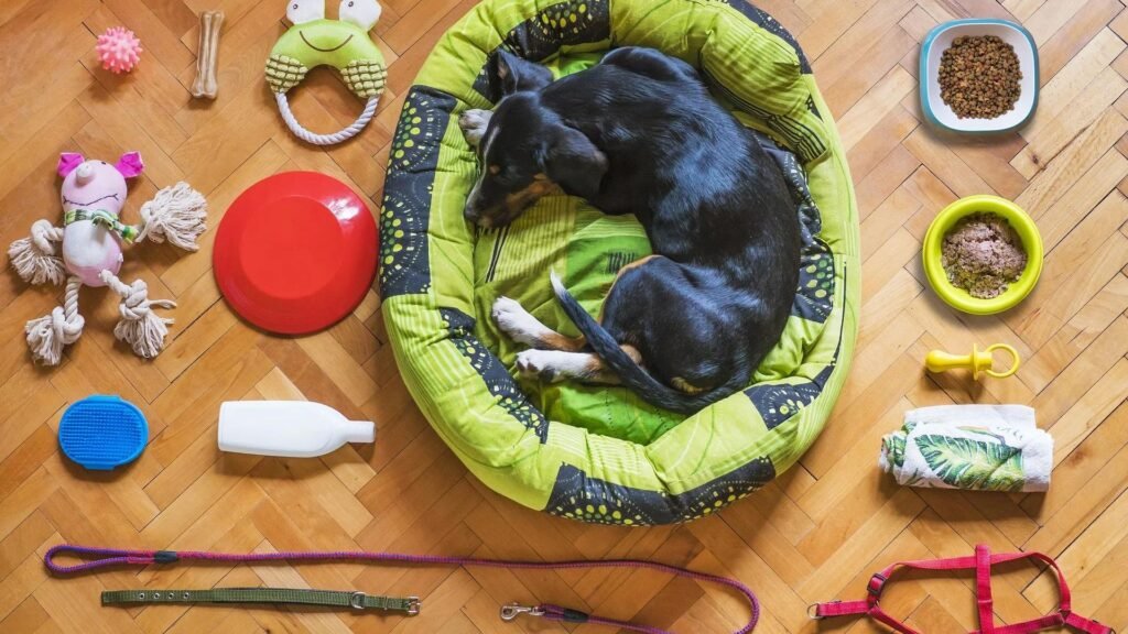 Must-Have Accessories for Every Dog Owner