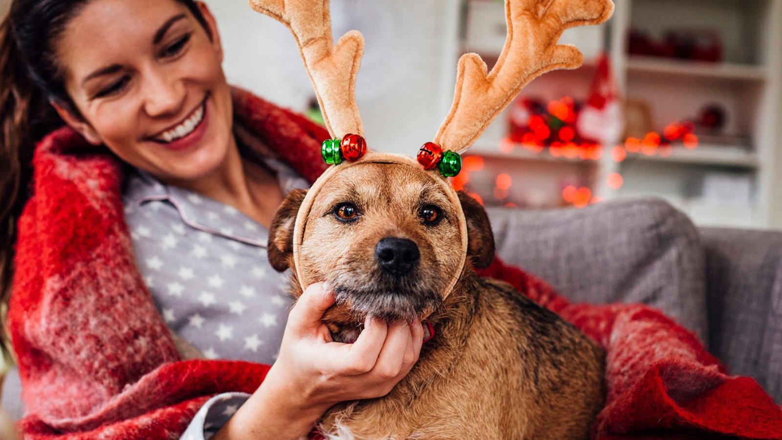 Seasonal Dog Accessories What to Buy Each Season