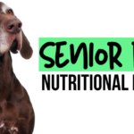 Senior Dog Nutrition