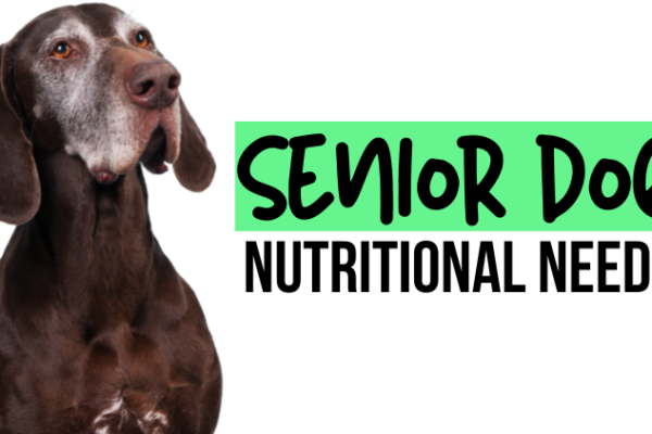 Senior Dog Nutrition