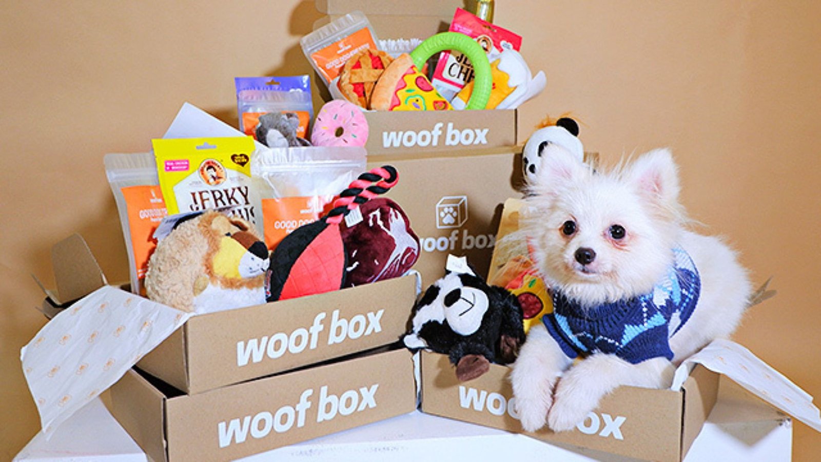 Subscription Boxes: Monthly Gifts for Your Dog