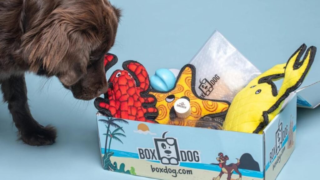 Subscription Boxes: Monthly Gifts for Your Dog