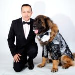 The Best Designer Dog Formal Wear