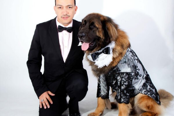 The Best Designer Dog Formal Wear