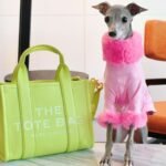 A Dog wearing a cute pink dress and a green tote bag