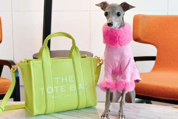 A Dog wearing a cute pink dress and a green tote bag