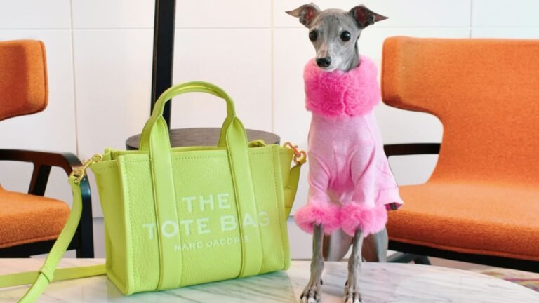 A Dog wearing a cute pink dress and a green tote bag