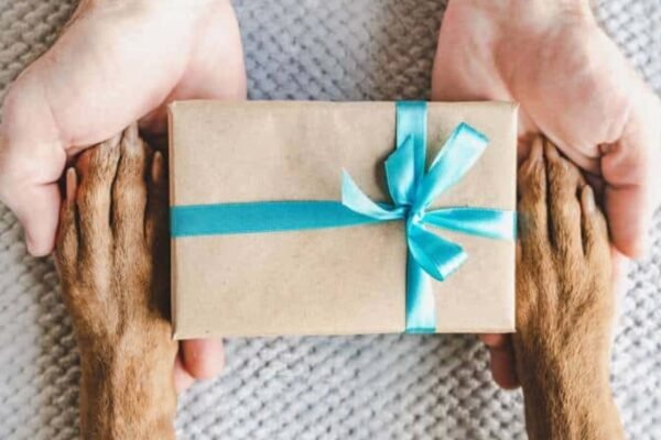 Tips for Dog Gifts for New Pet Owners