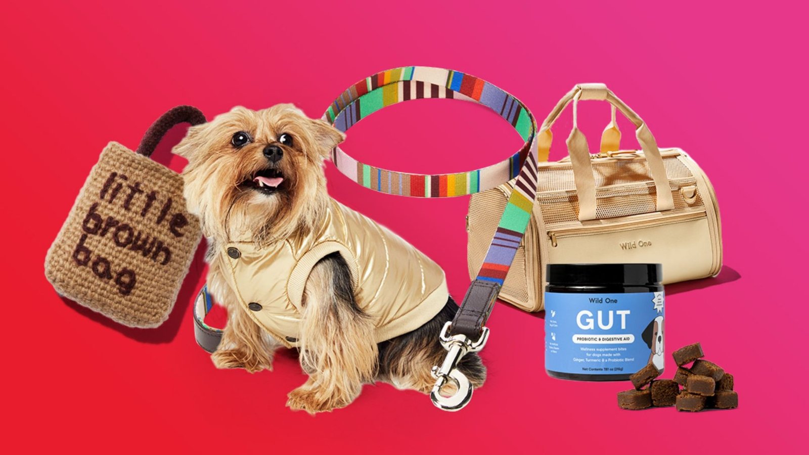 Tips for Gifting Dog Apparel and Accessories