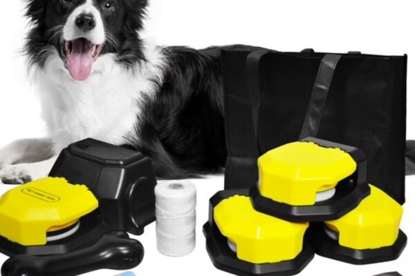 Training Aids: Useful Gifts for Training Your Dog