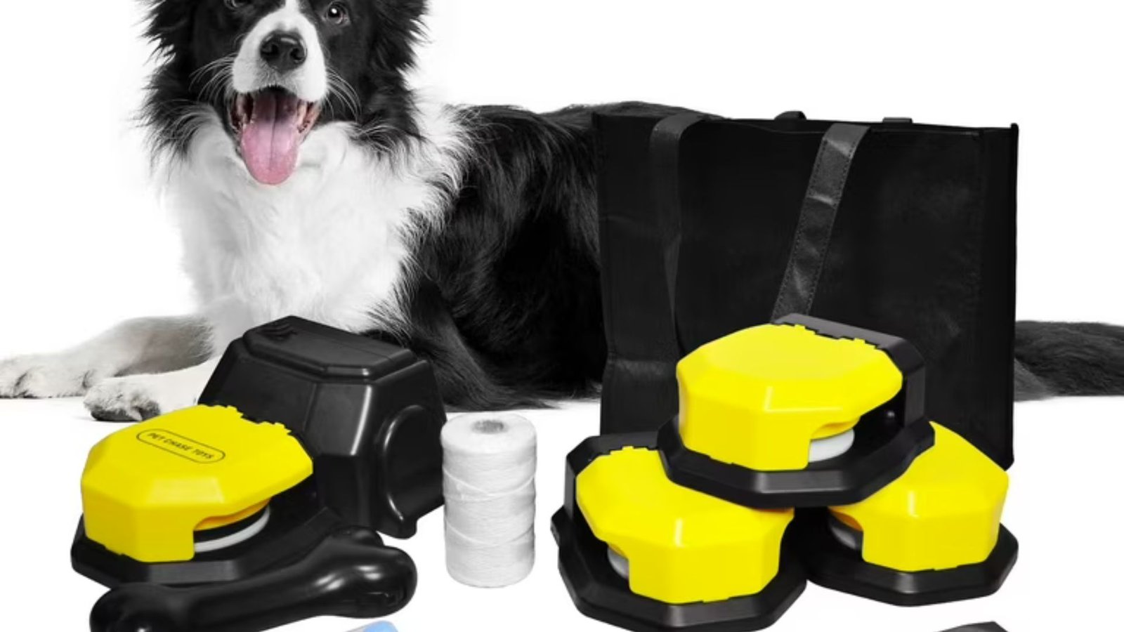 Training Aids: Useful Gifts for Training Your Dog