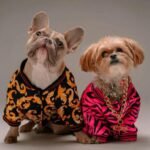 Trendy Dog Fashion Top Styles for 2024