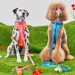 Unique Gifts for Dog Shows and Competitions