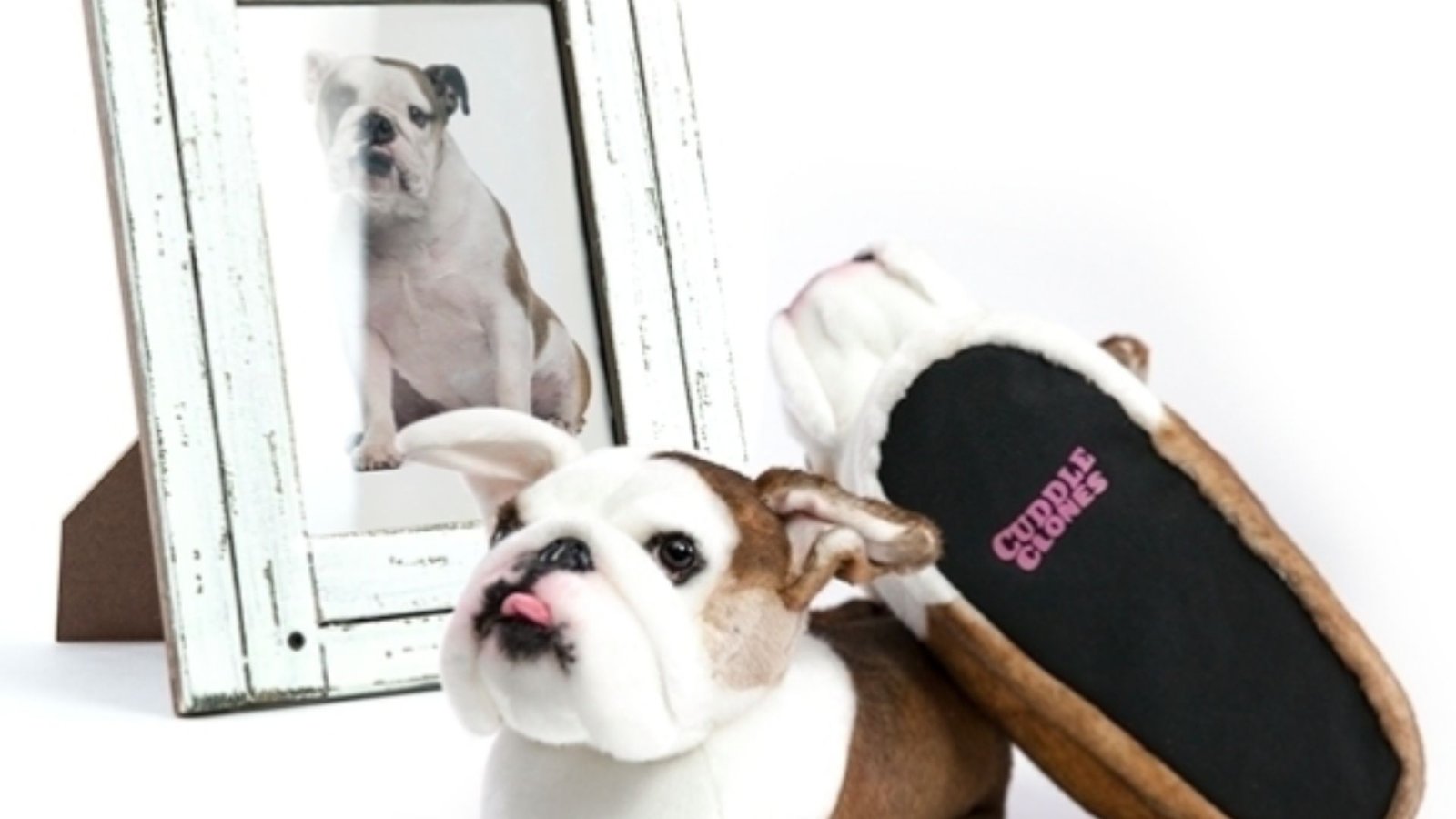 Unique Personalized Gifts for Dogs